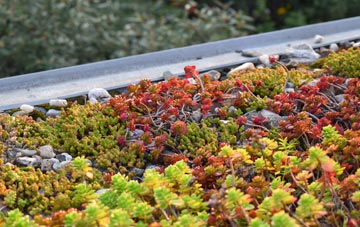 the cost of Sparrow Green green roof installation
