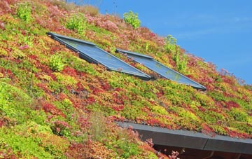 Sparrow Green living roof systems