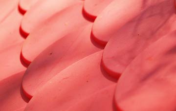 Sparrow Green plastic roof costs